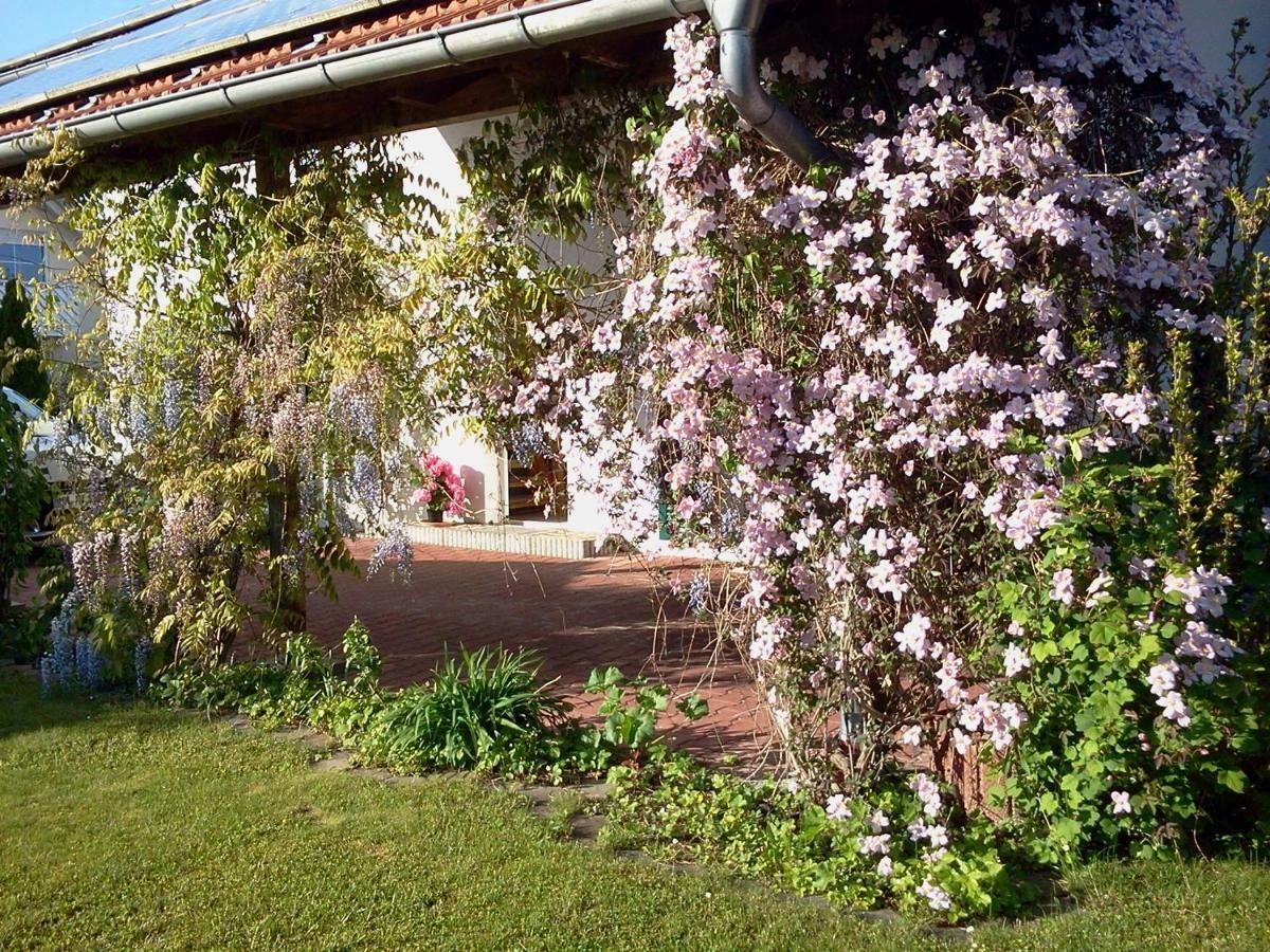 Ferienwohnung Buxheim  Eksteriør billede